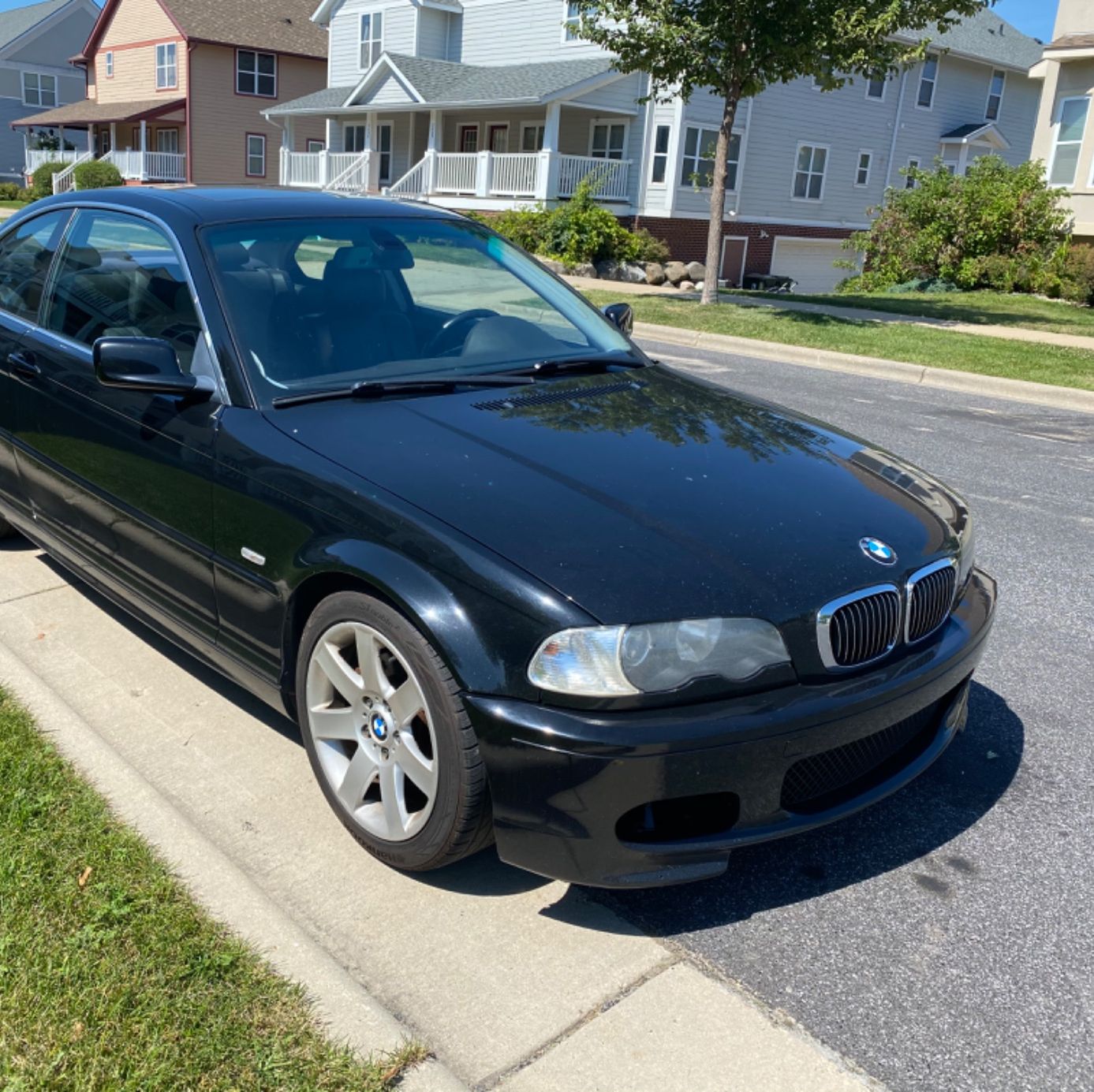 Profile of Yeeleng Yang