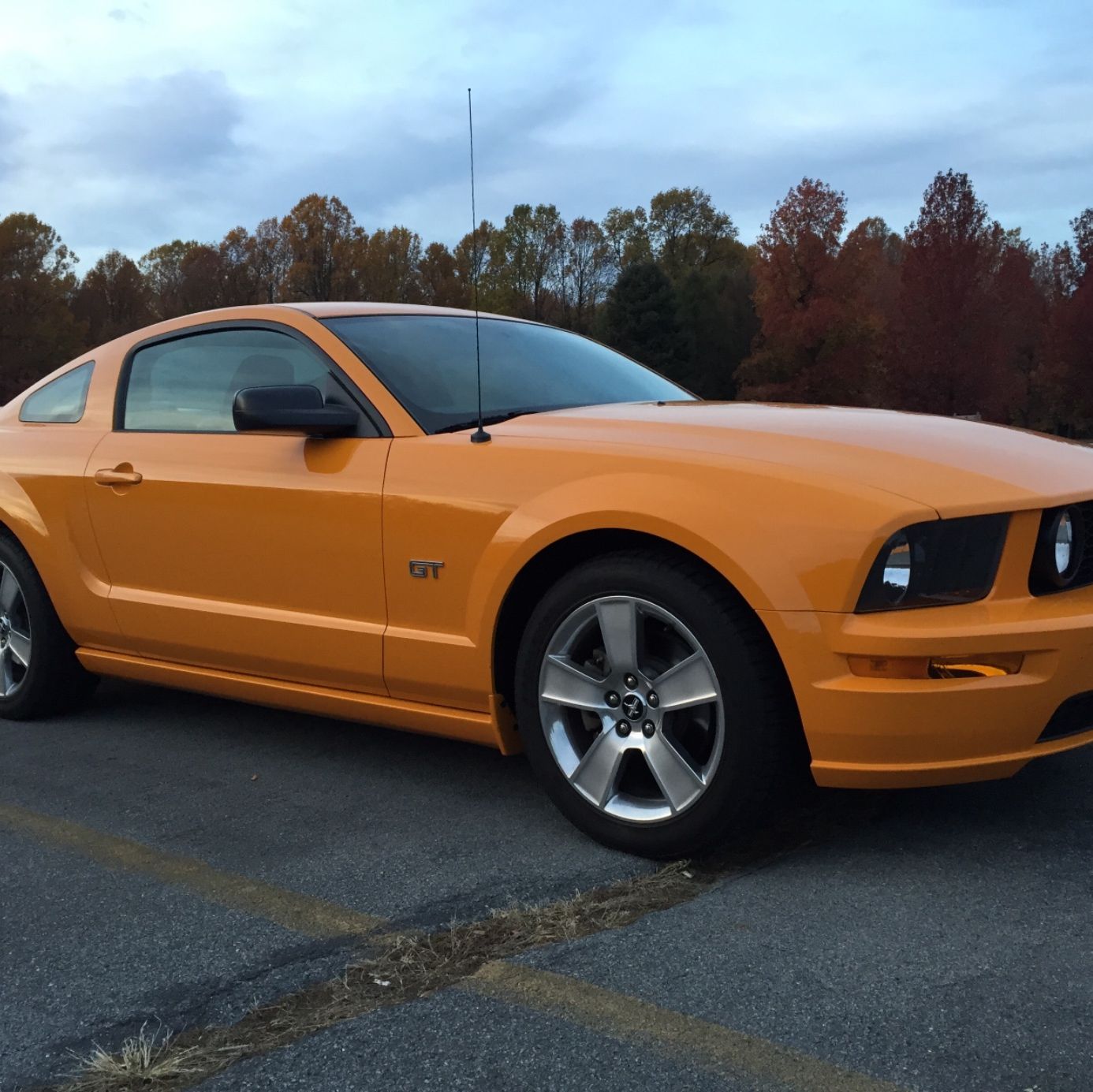 Profile of Joseph Roth