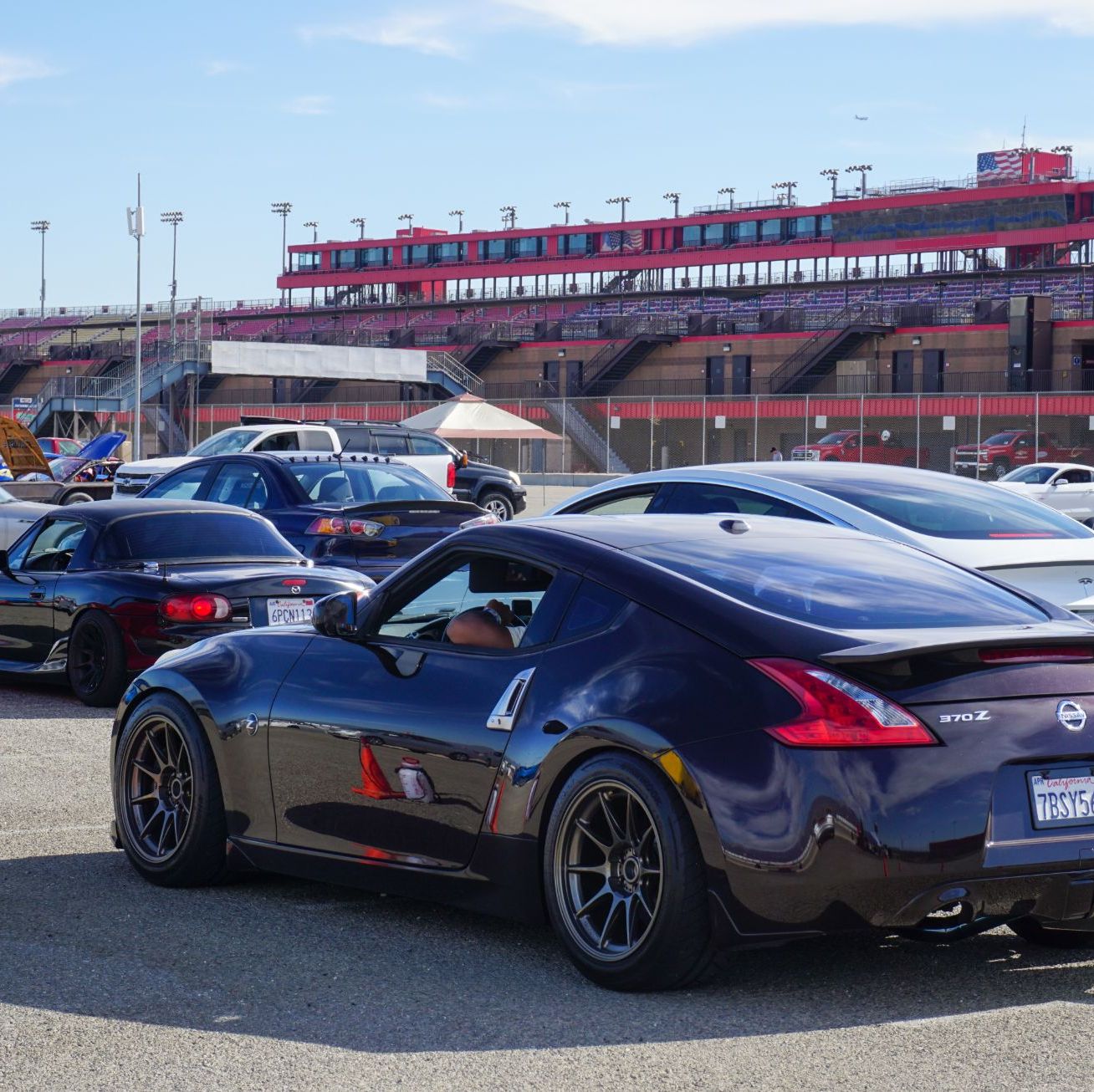 Profile of sharad sharma