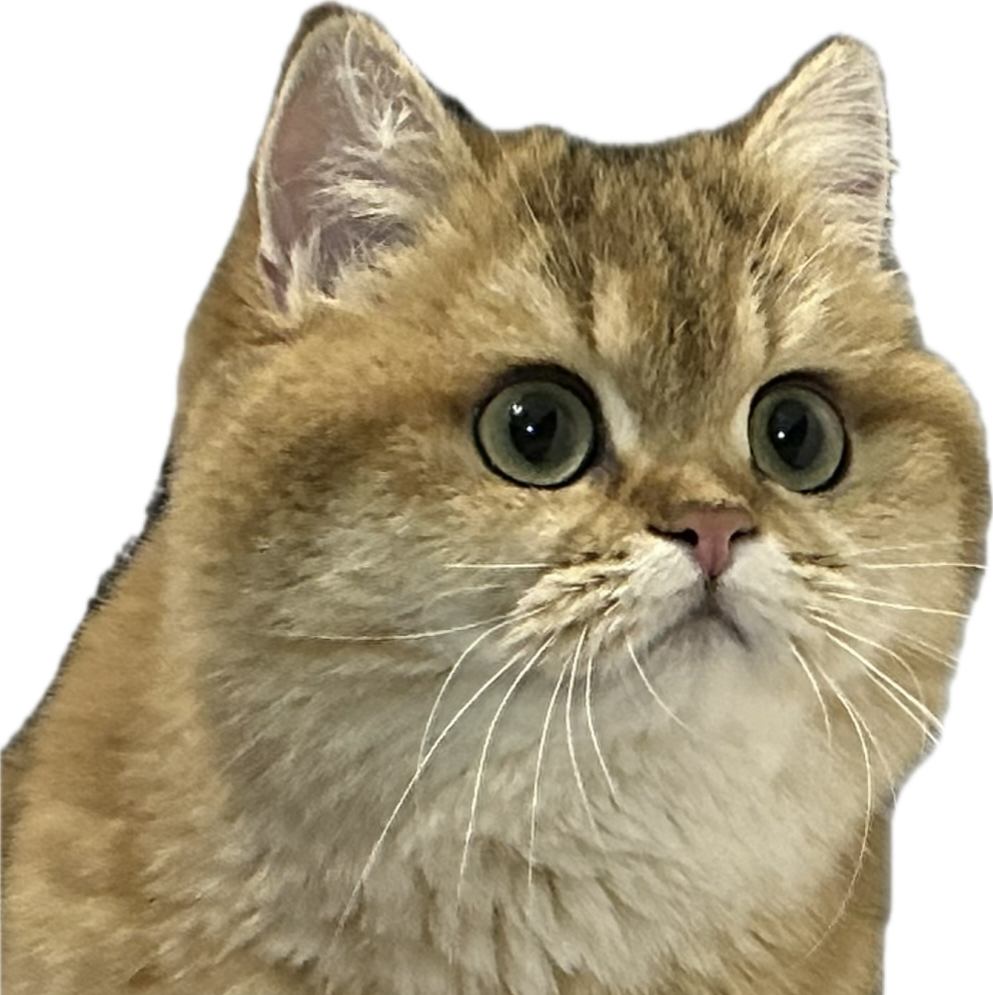 Profile of Xianggu Liu