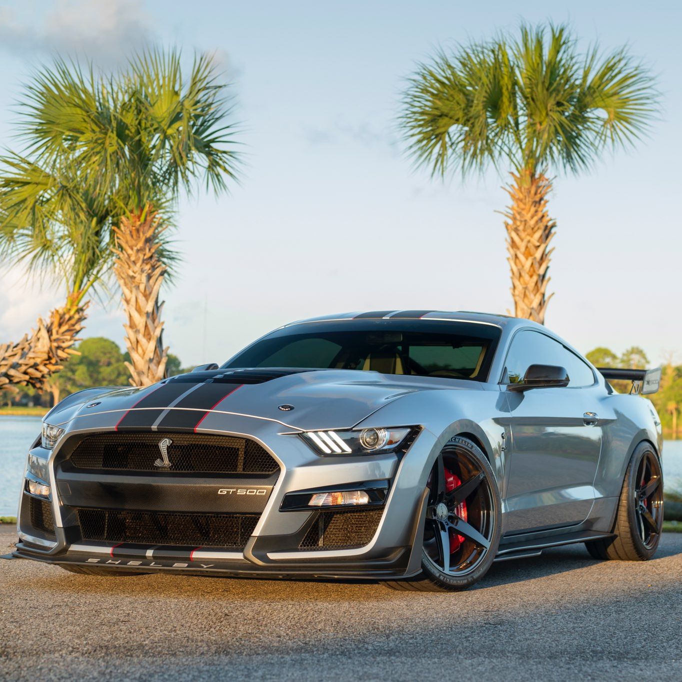 Profile of Matthew Beauregard