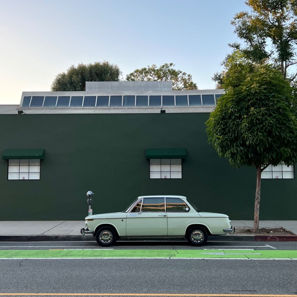 Profile of Rashod Bacon