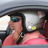 Profile of Steve Meschke
