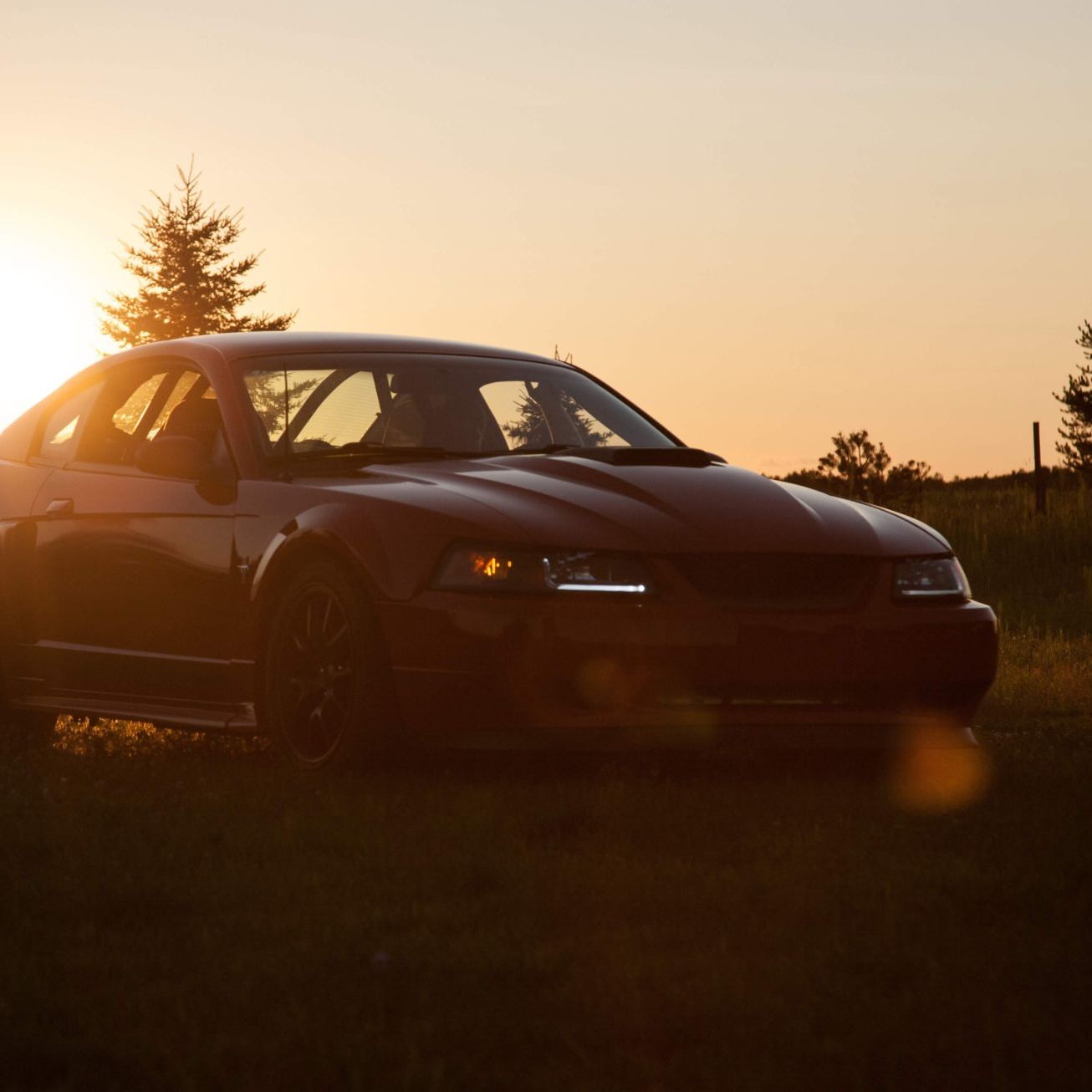 Profile of Noah Schladweiler