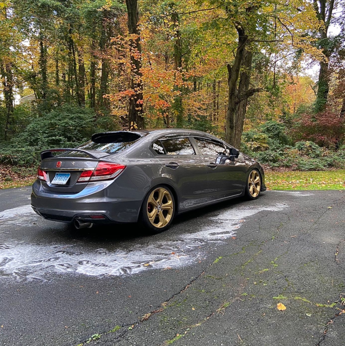 Profile of Dante Salce