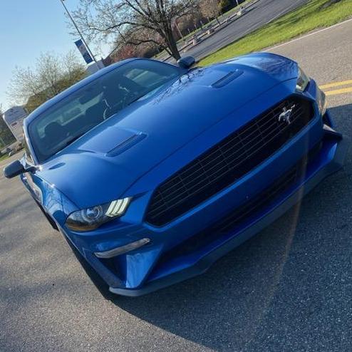 Profile of Tyler Oakes