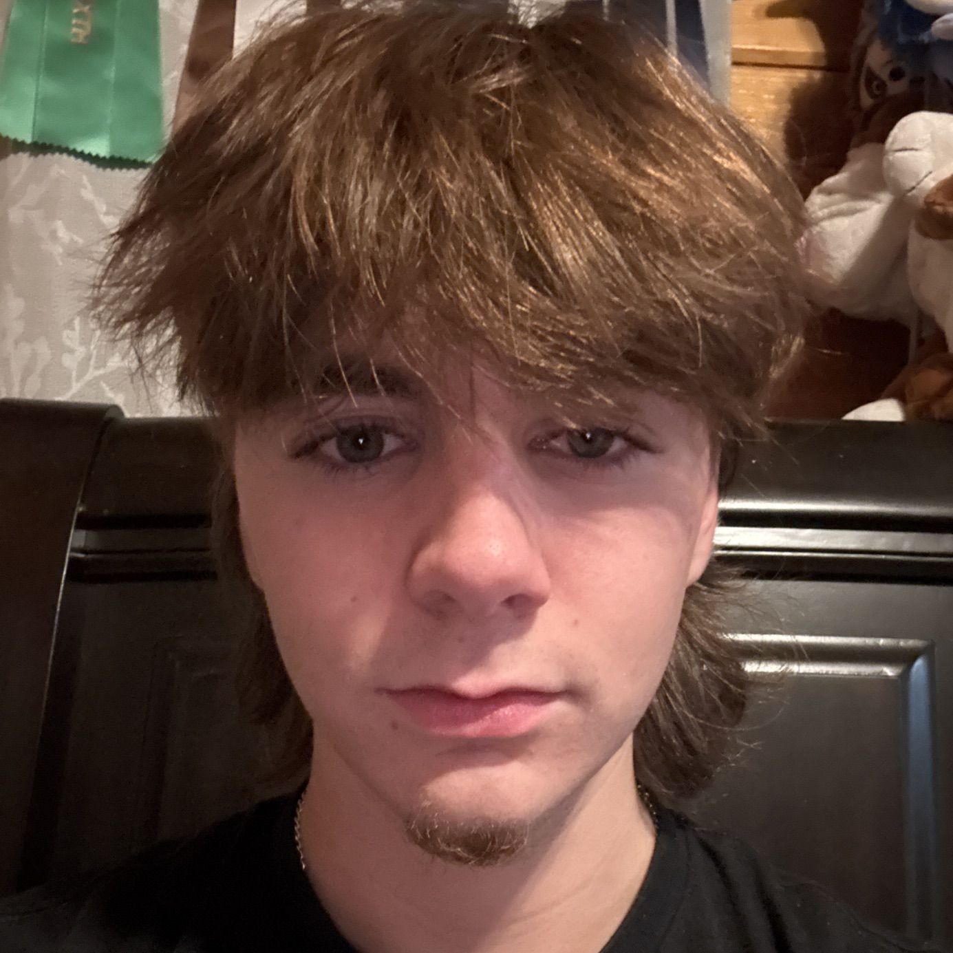 Profile of Sebastian Howard