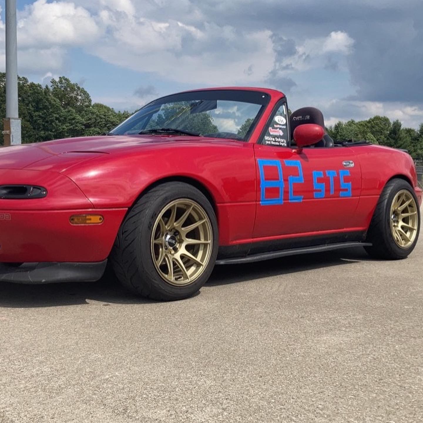 Profile of Anthony Cognetti