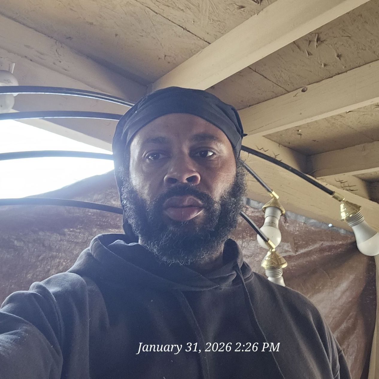 Profile of Mr. Shannon Gidron