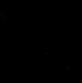 Profile of Mark Wilson