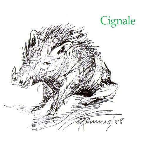 Profile of David Cooper