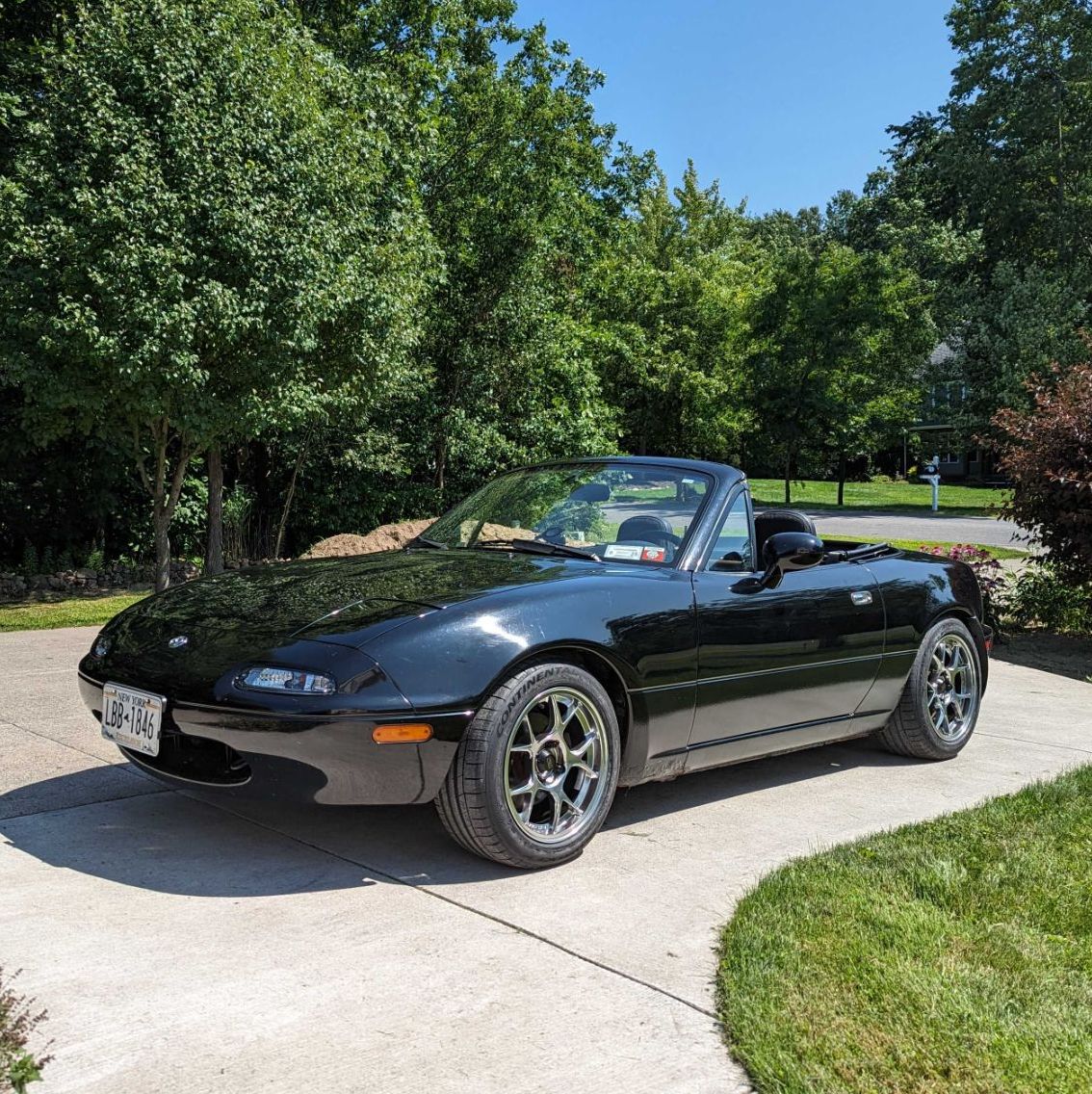 Profile of Daniel Schulz