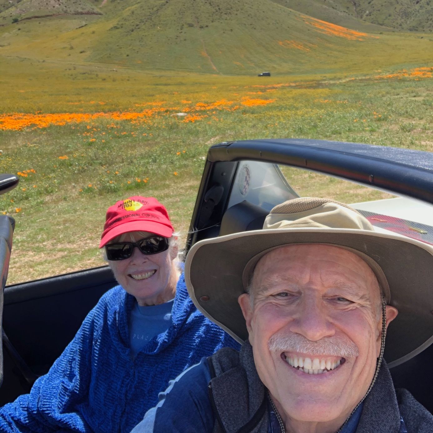 Profile of Don Bogart