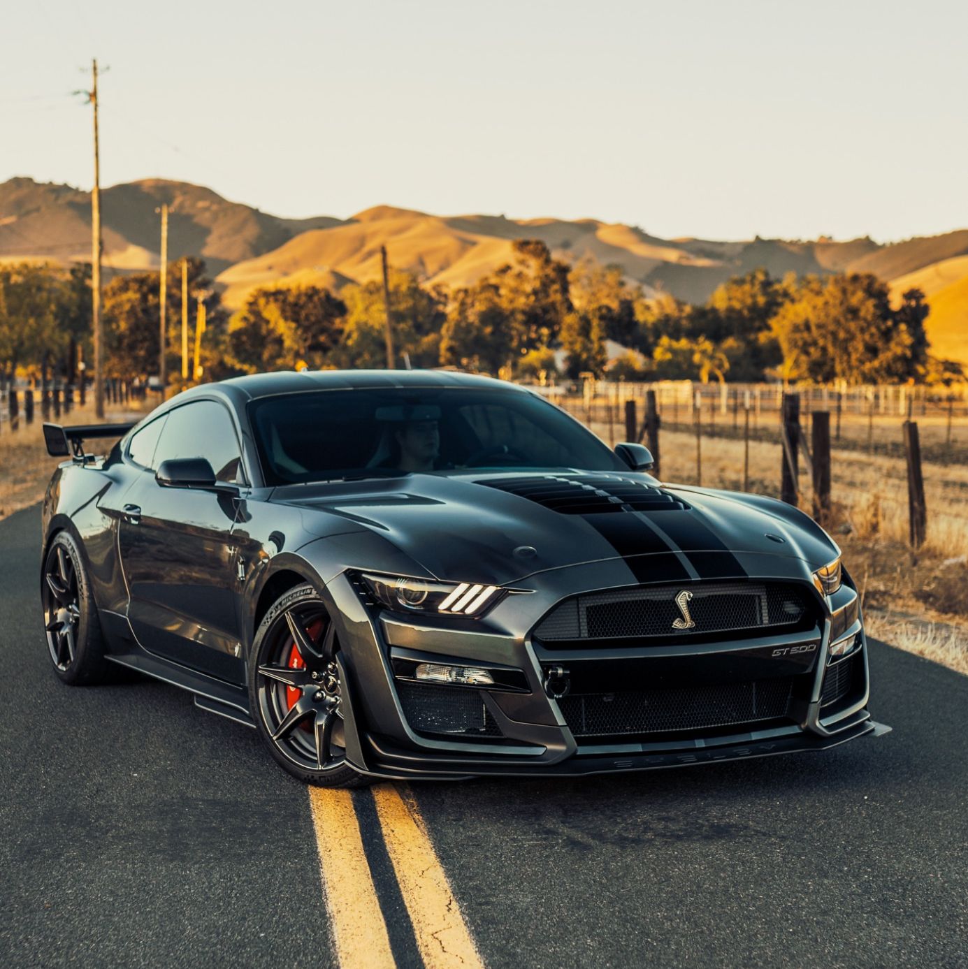 Profile of Brennan Winters