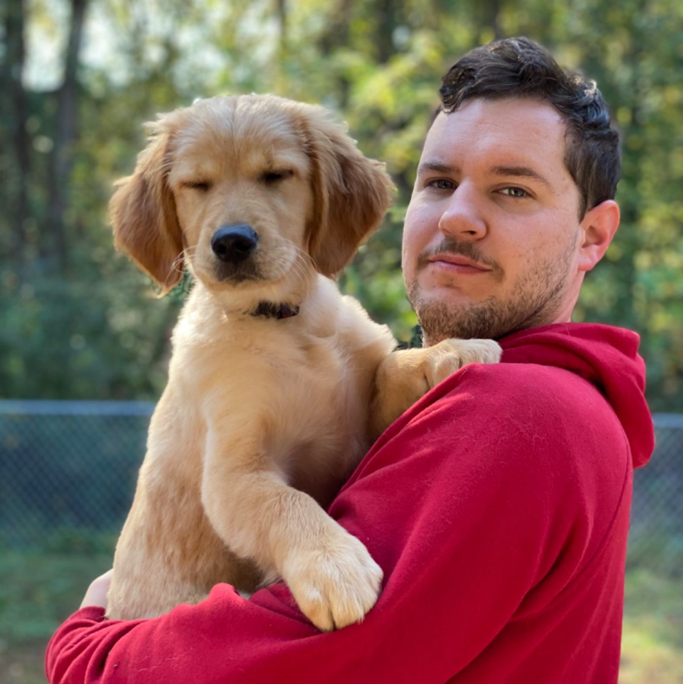 Profile of David Merola