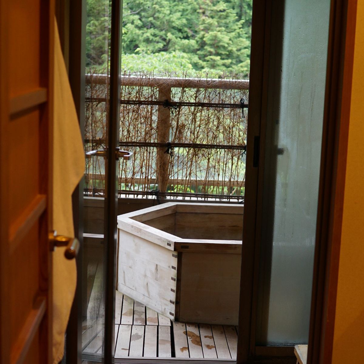 Profile of Arian Yee