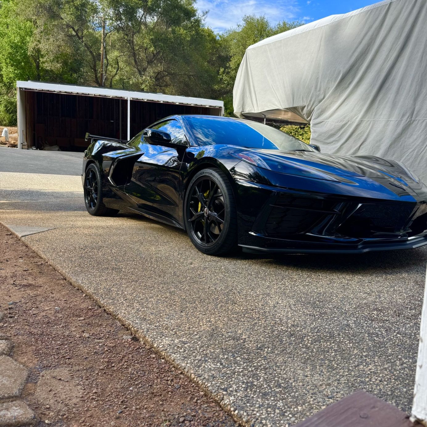 Profile of Shon Garten