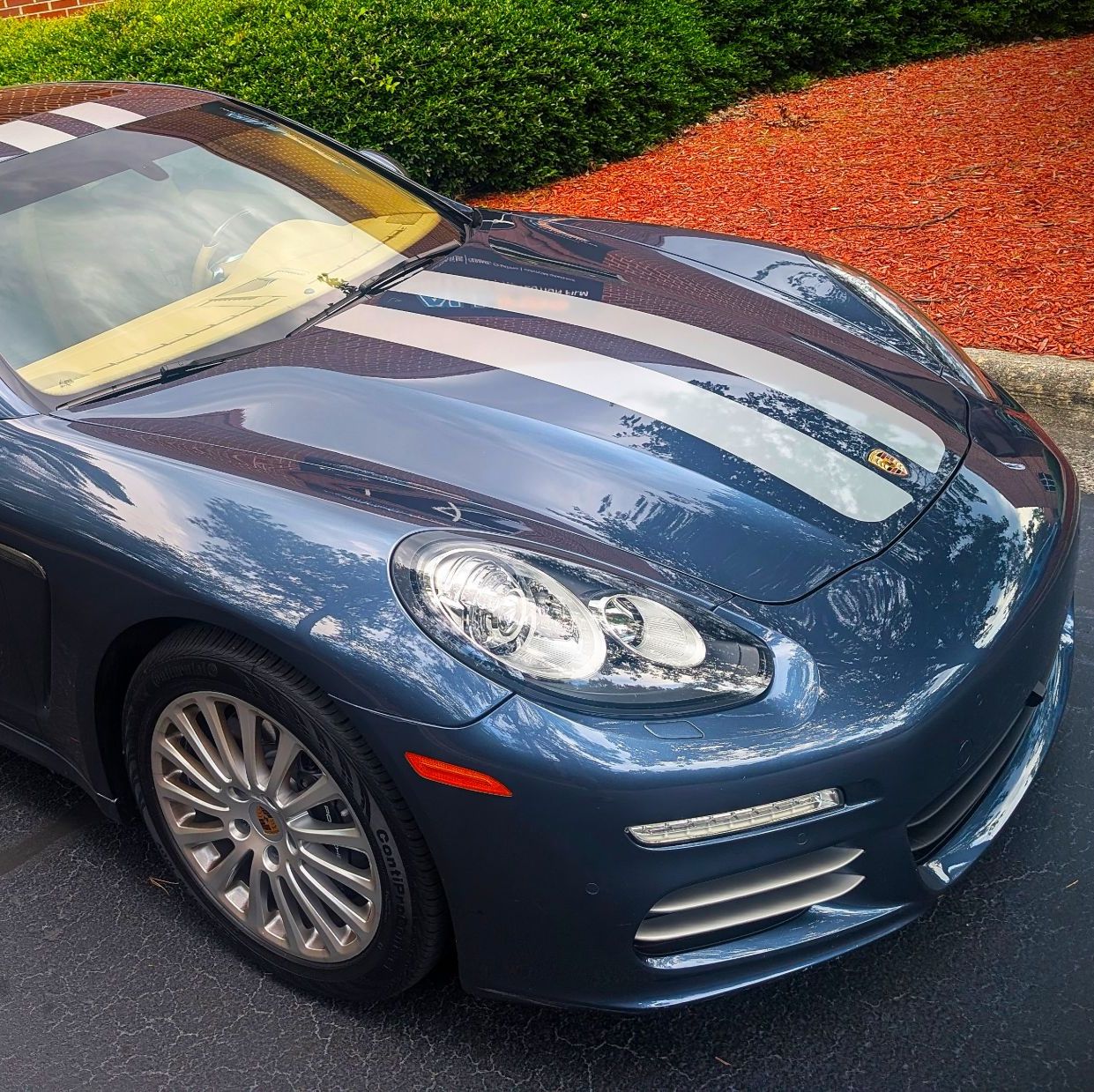 Profile of Michael Hoppe