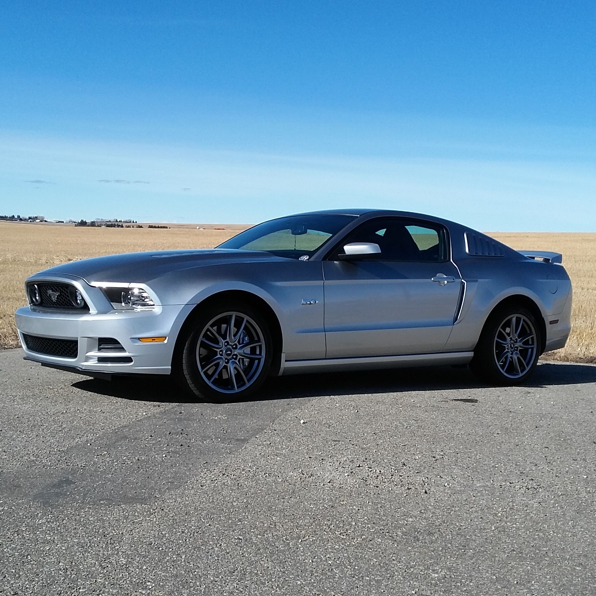 Profile of Mark Harkness