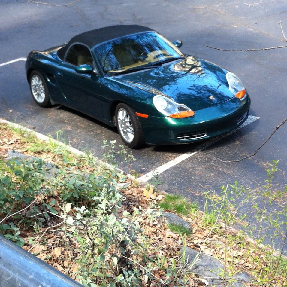 Profile of Kenneth Hollett