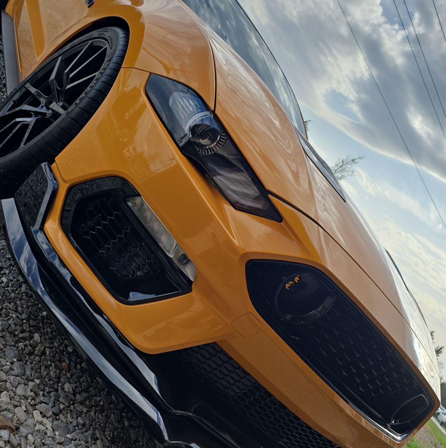 Profile of Tyler Gray