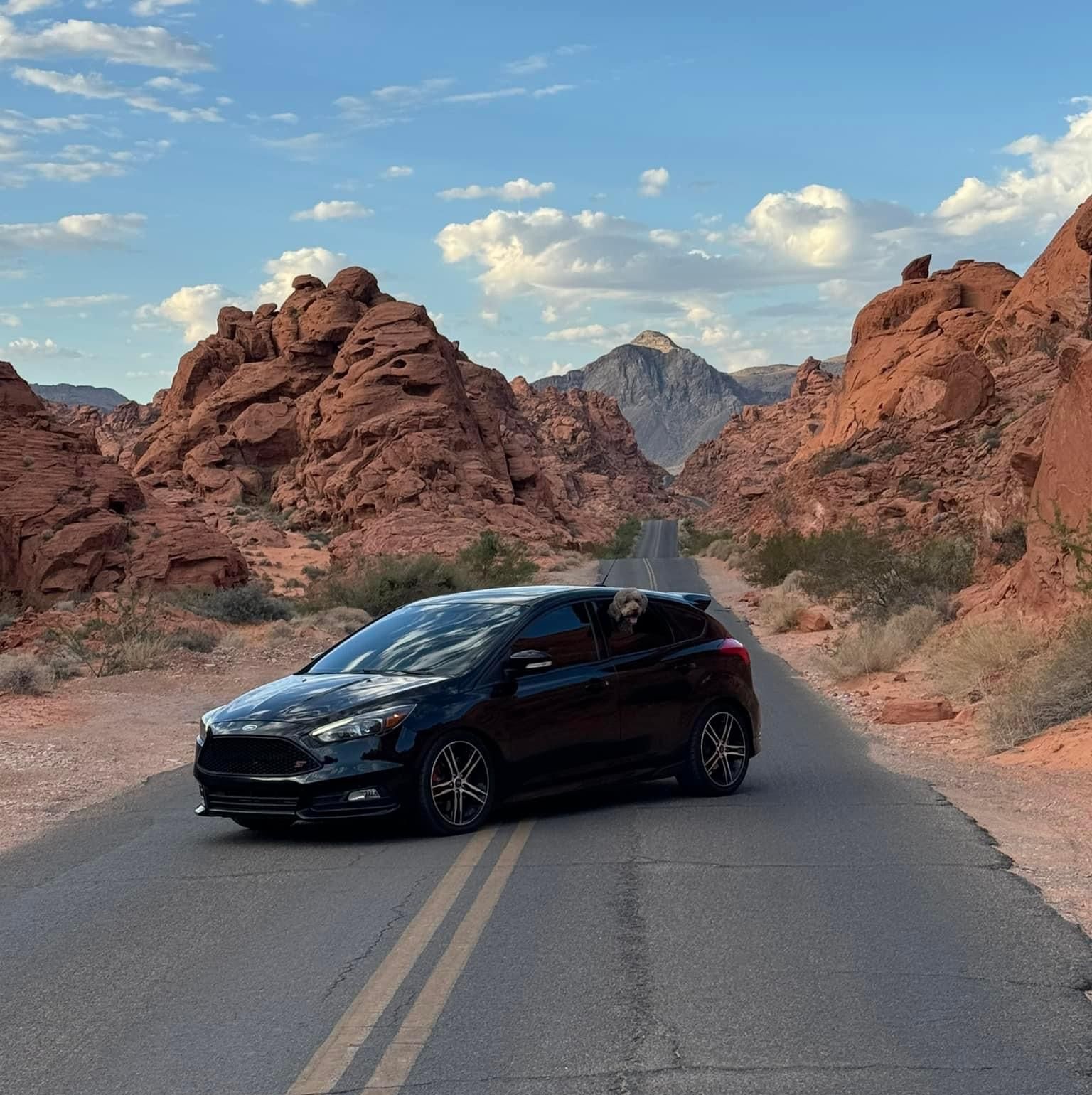 Profile of Derek Dyer