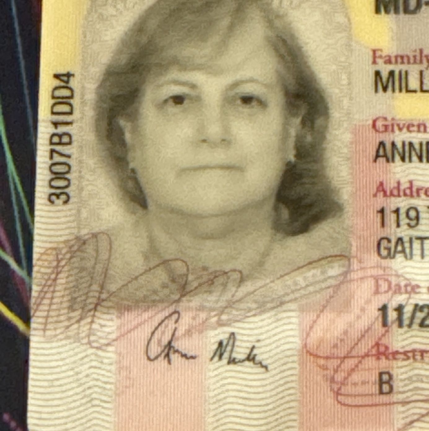 Profile of Anne Miller
