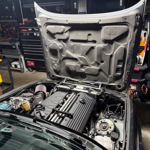 Profile of Keith Leotaud