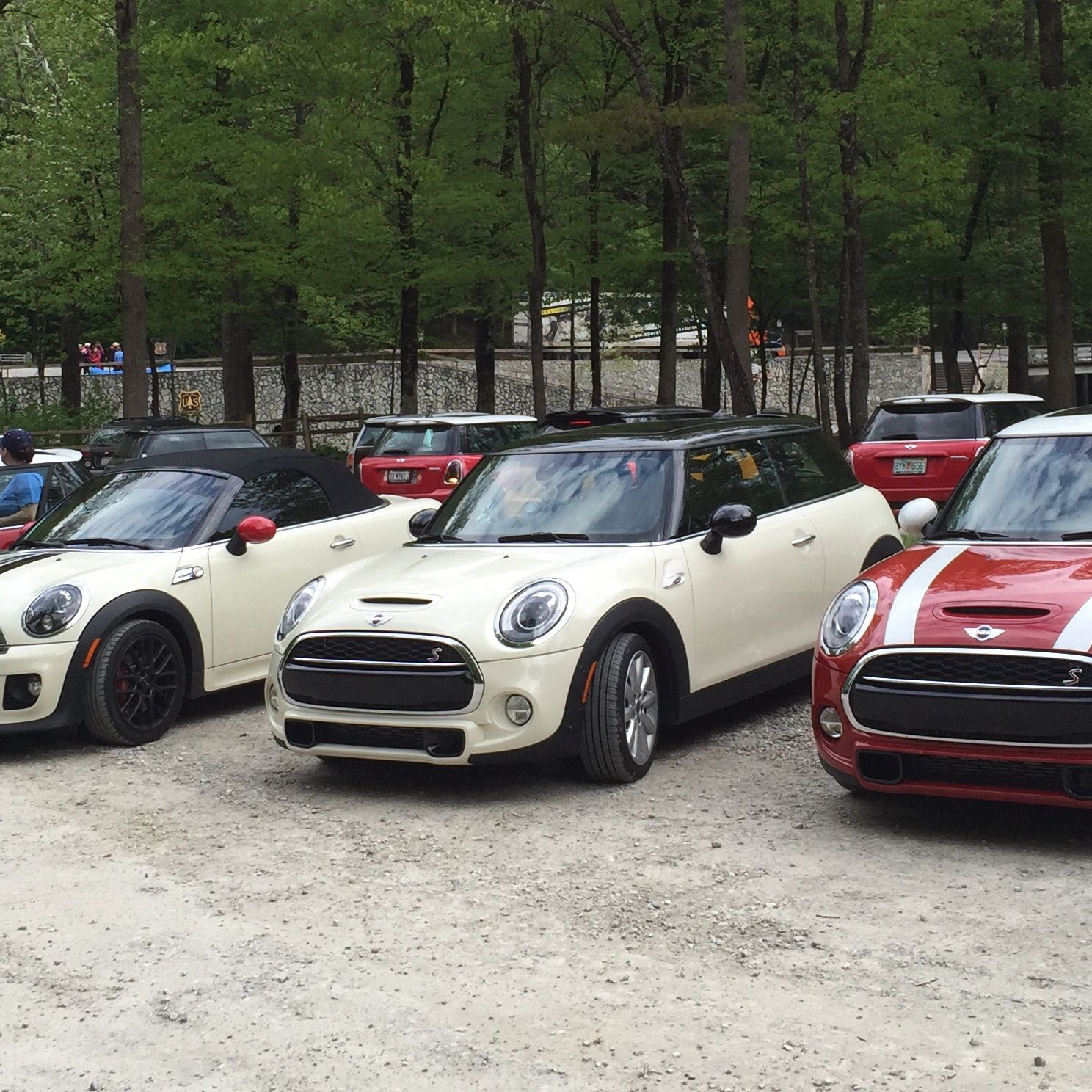 Profile of David Godby