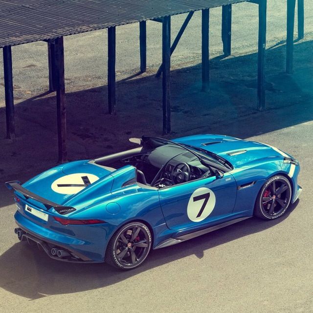 Profile of Rachel Larson