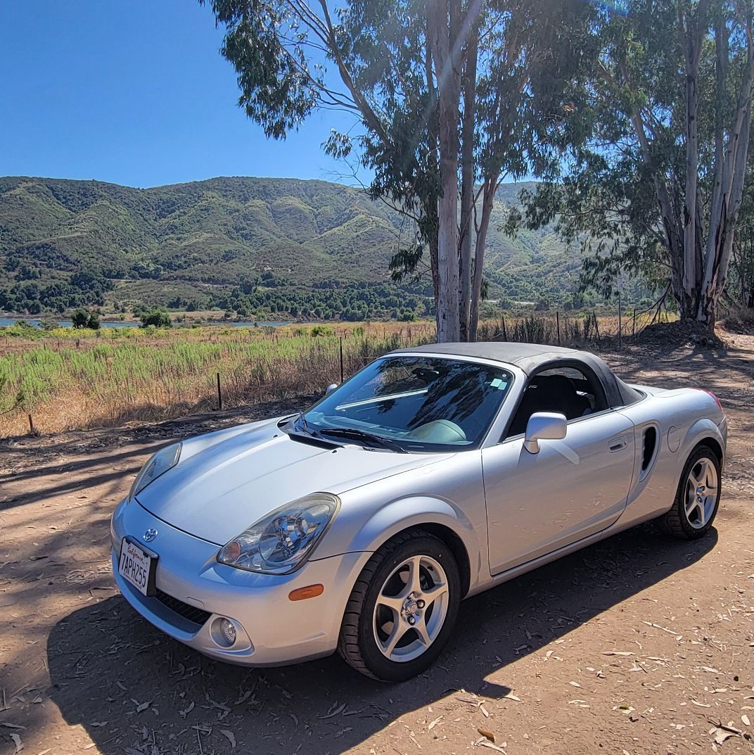 Profile of Boheme Nellis