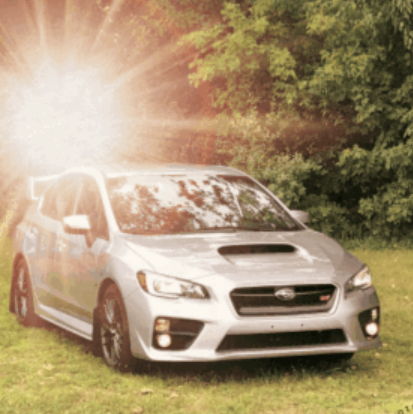 Profile of Maribel Garcia