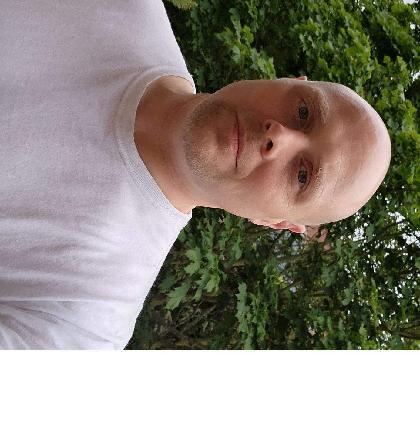 Profile of Daniel Rall