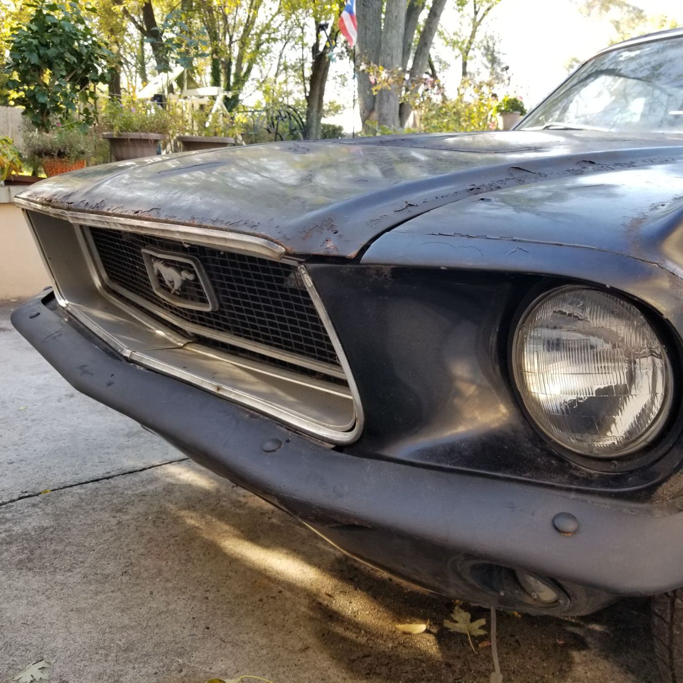 Profile of Bradley M