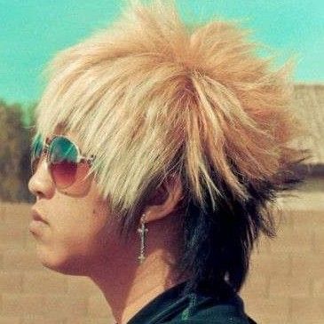 Profile of David Vang