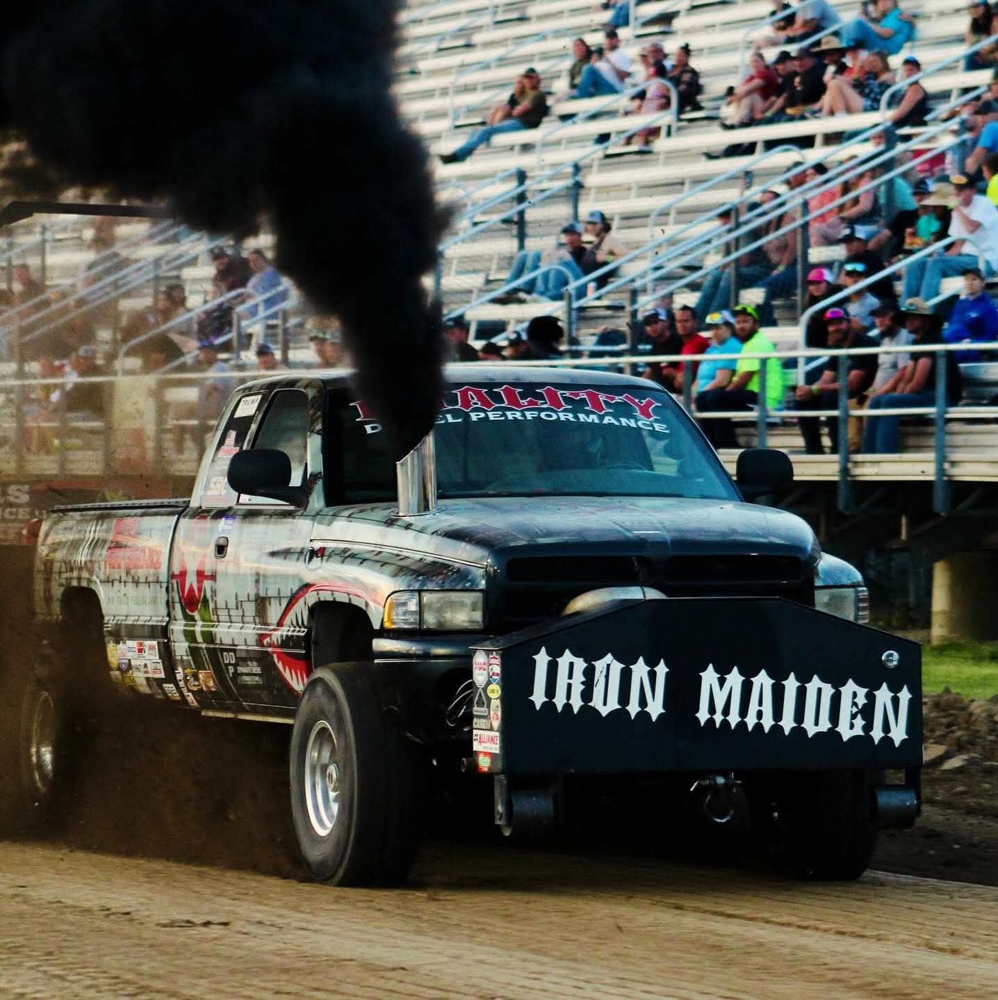 Profile of Brian Shew