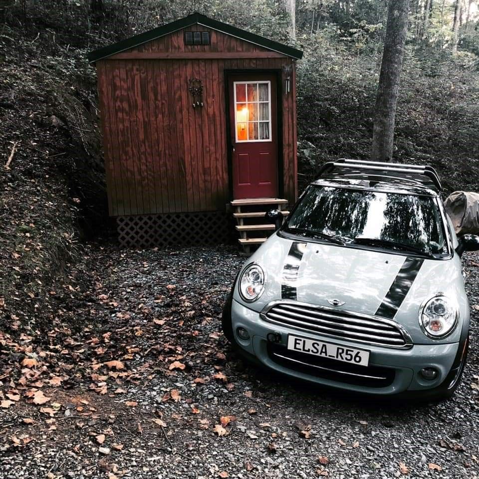 Profile of Shannon Havens-Davidson