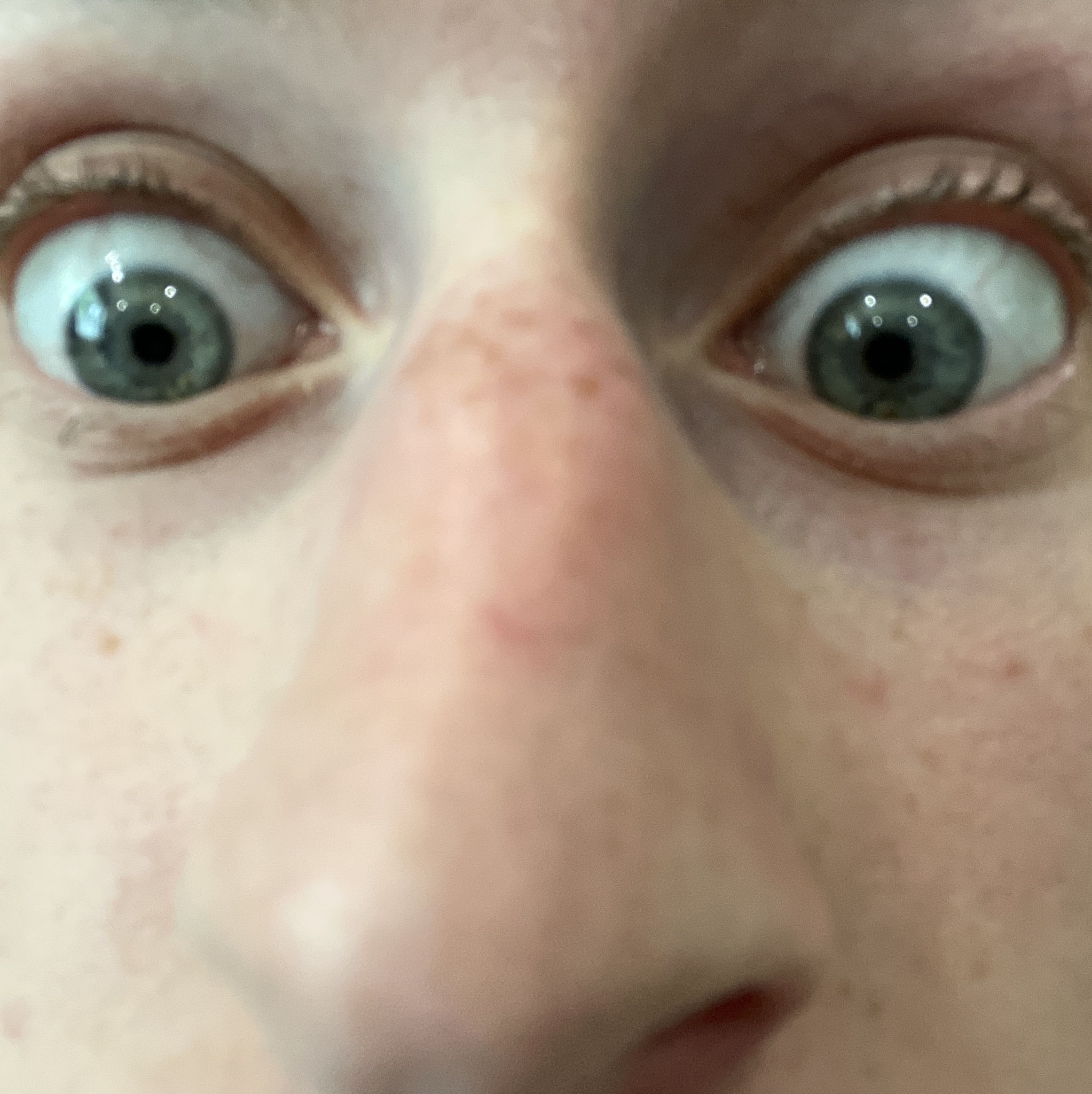 Profile of Demitri Yannitsos