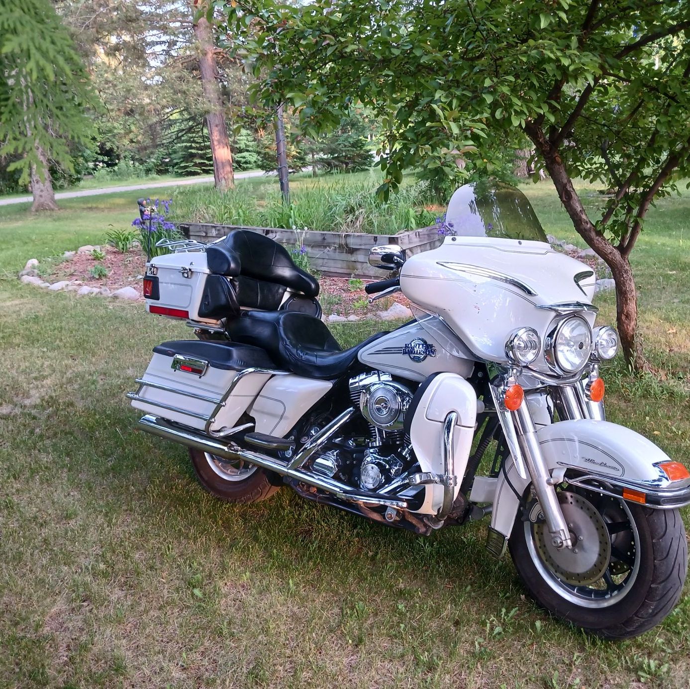 Profile of Roland Schulz