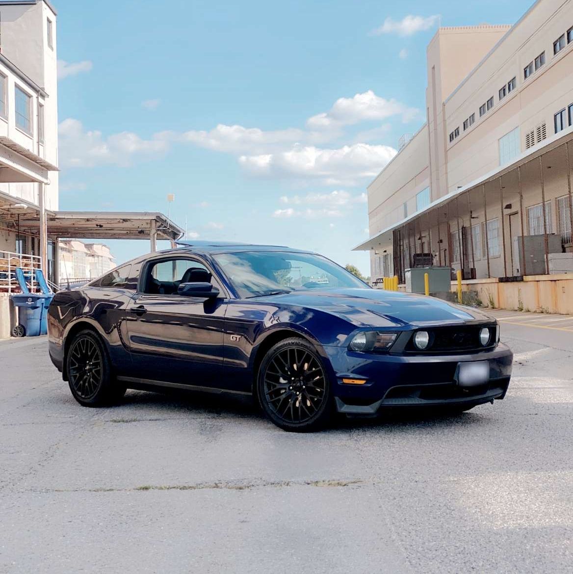 Profile of Shane Powers