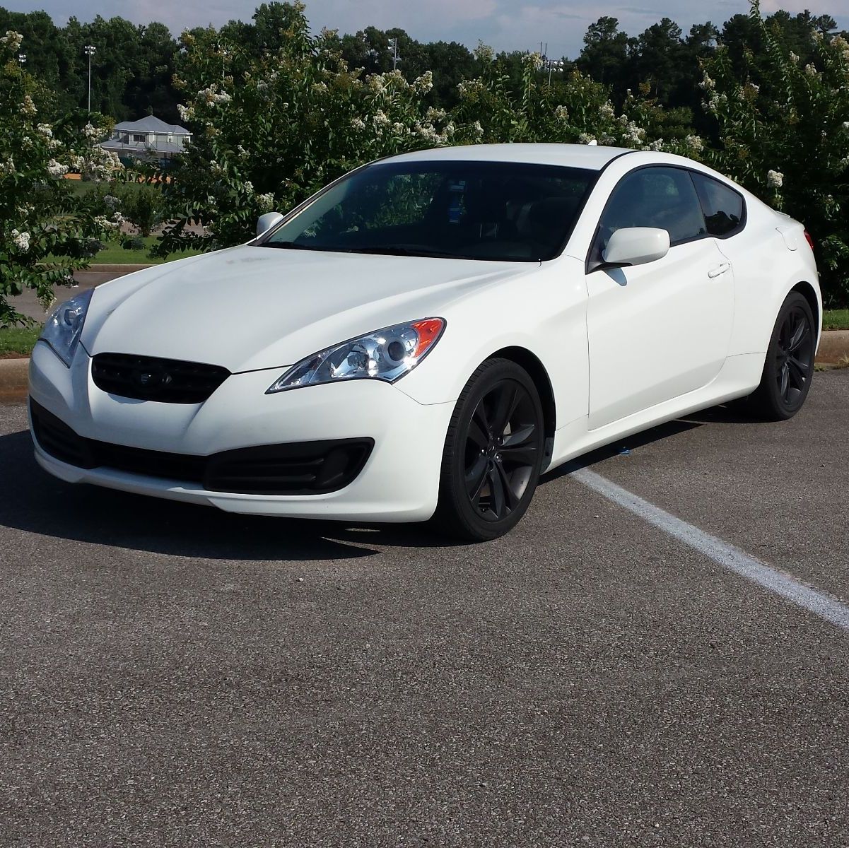 Profile of Stephanie Curtis