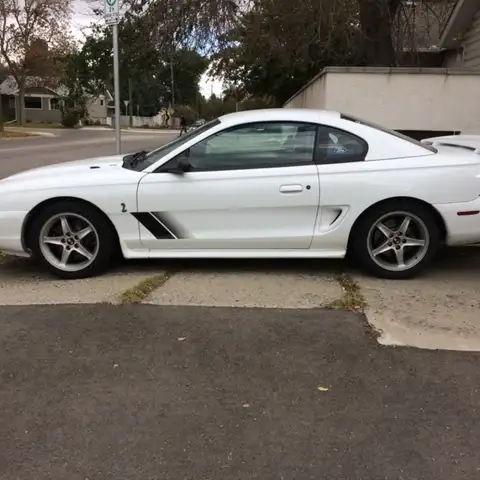 Profile of Shawn Hicks