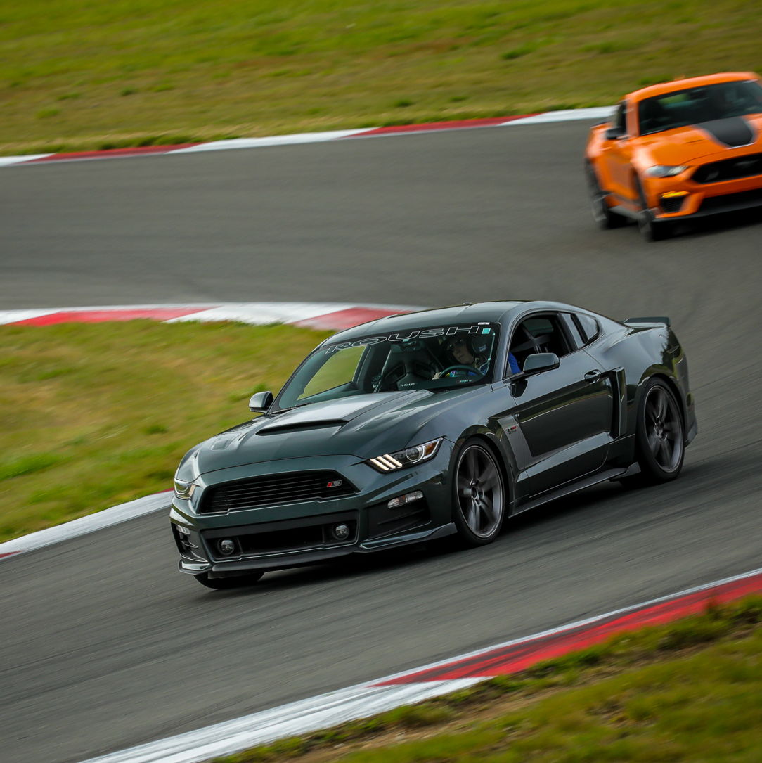 Profile of Pam Pistella