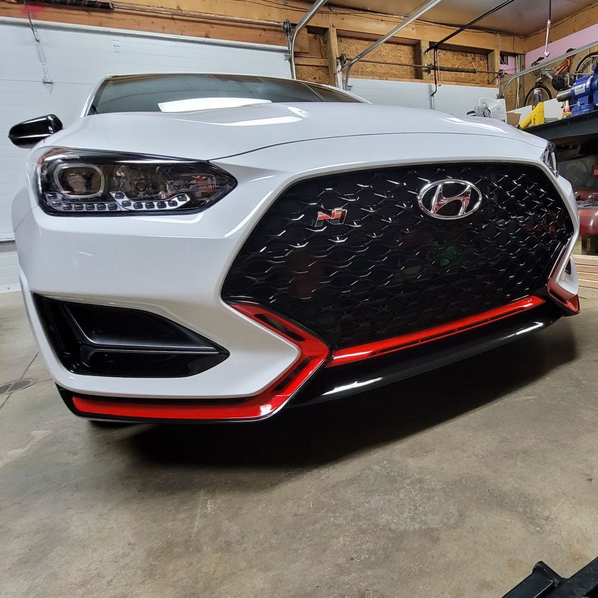 Profile of Adam Wagner