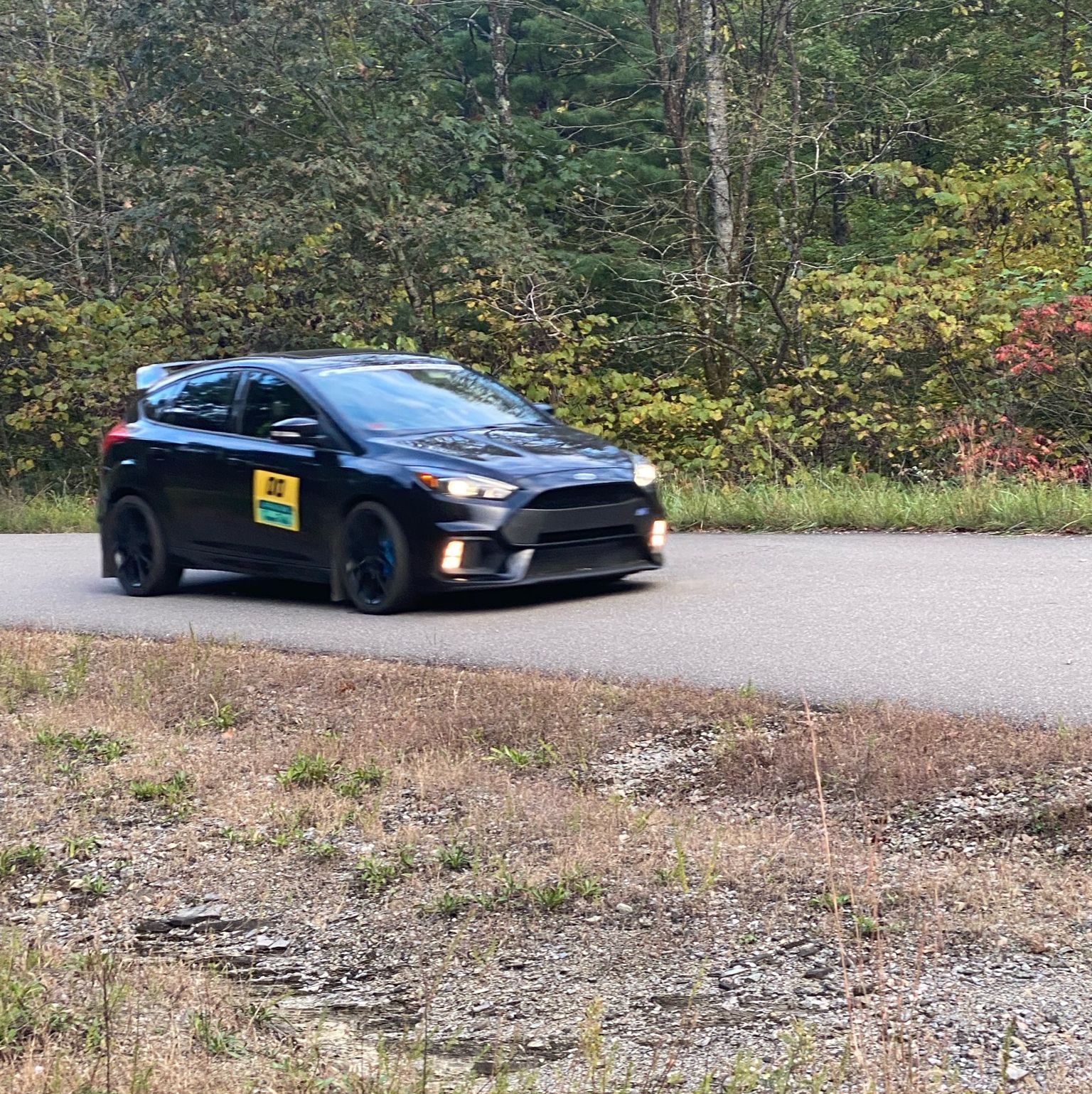 Profile of Daniel Elliott