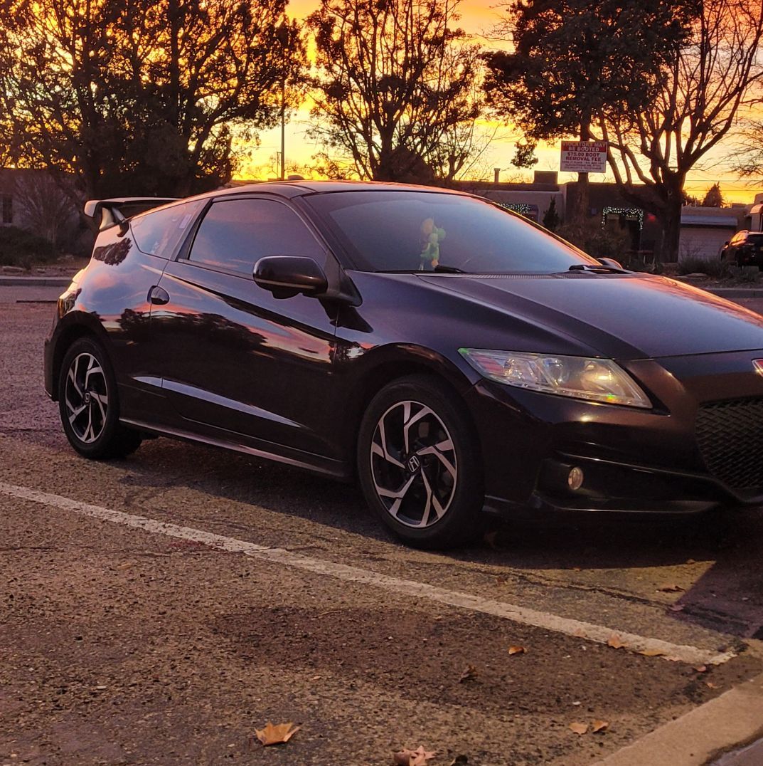 Profile of Brice Robertson