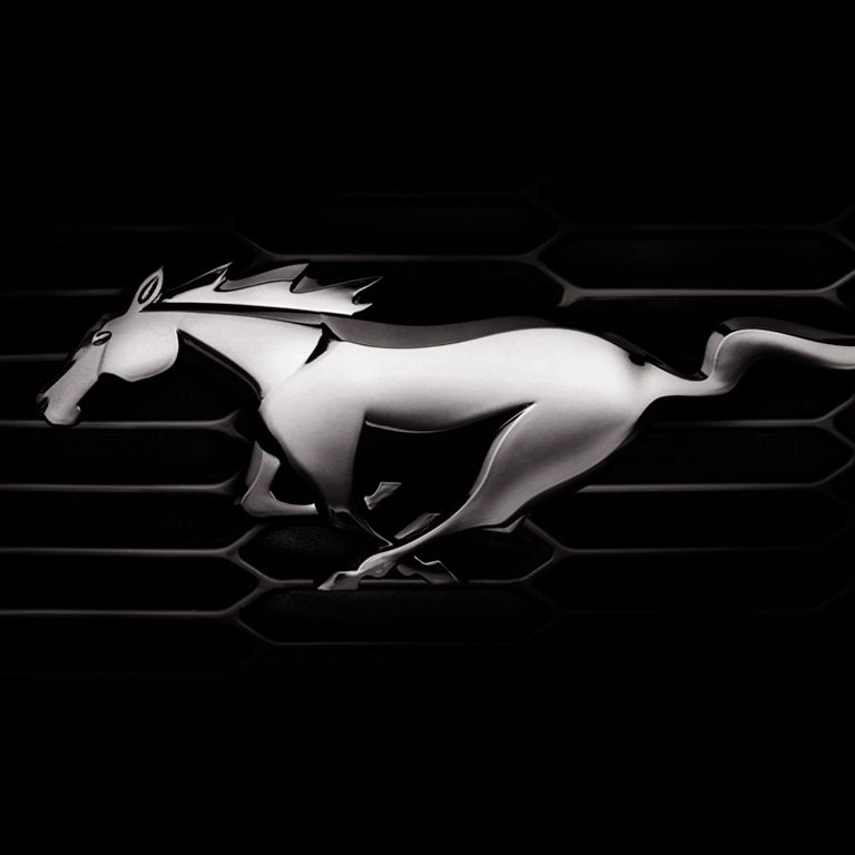 Profile of Scott Cox