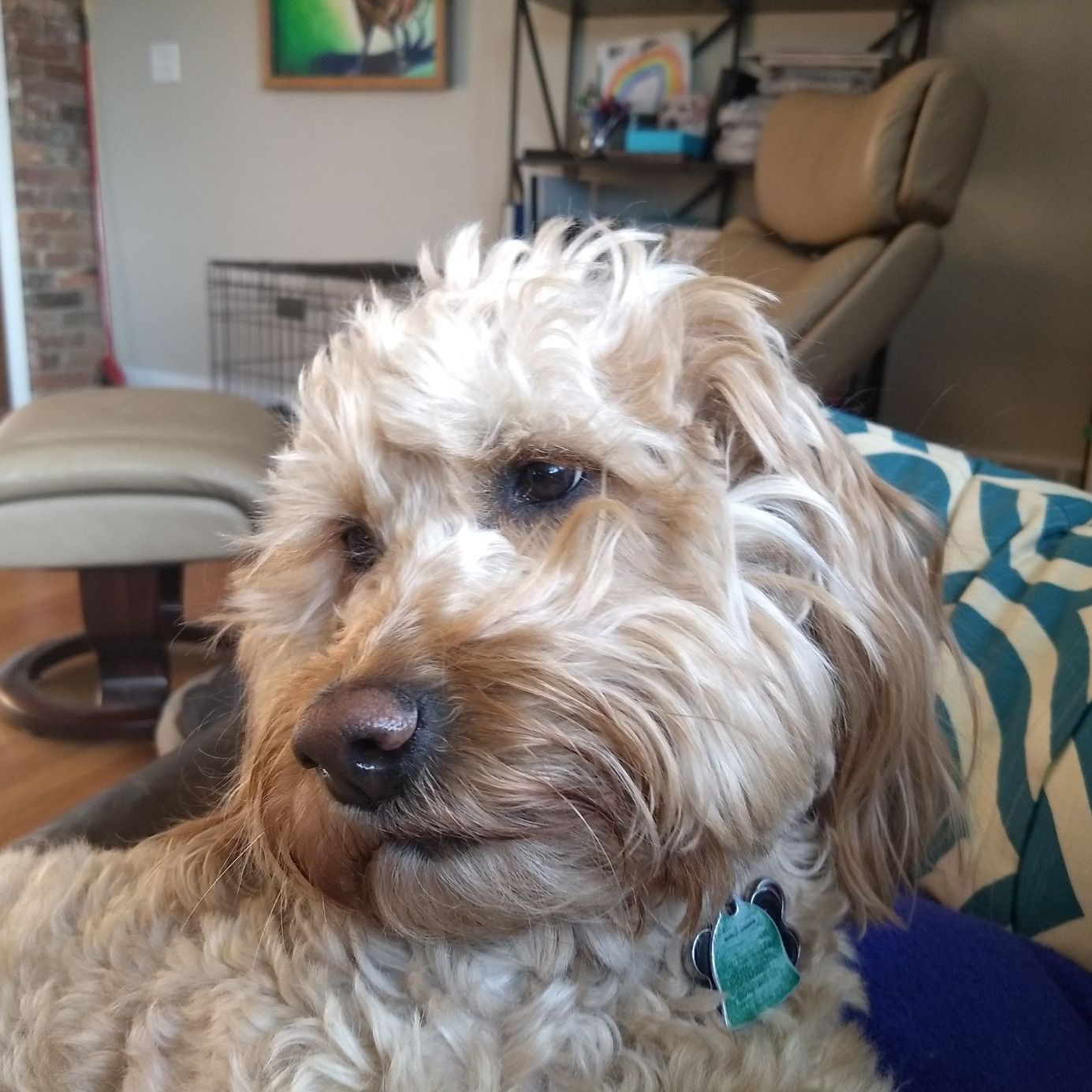 Profile of Ted Vogel