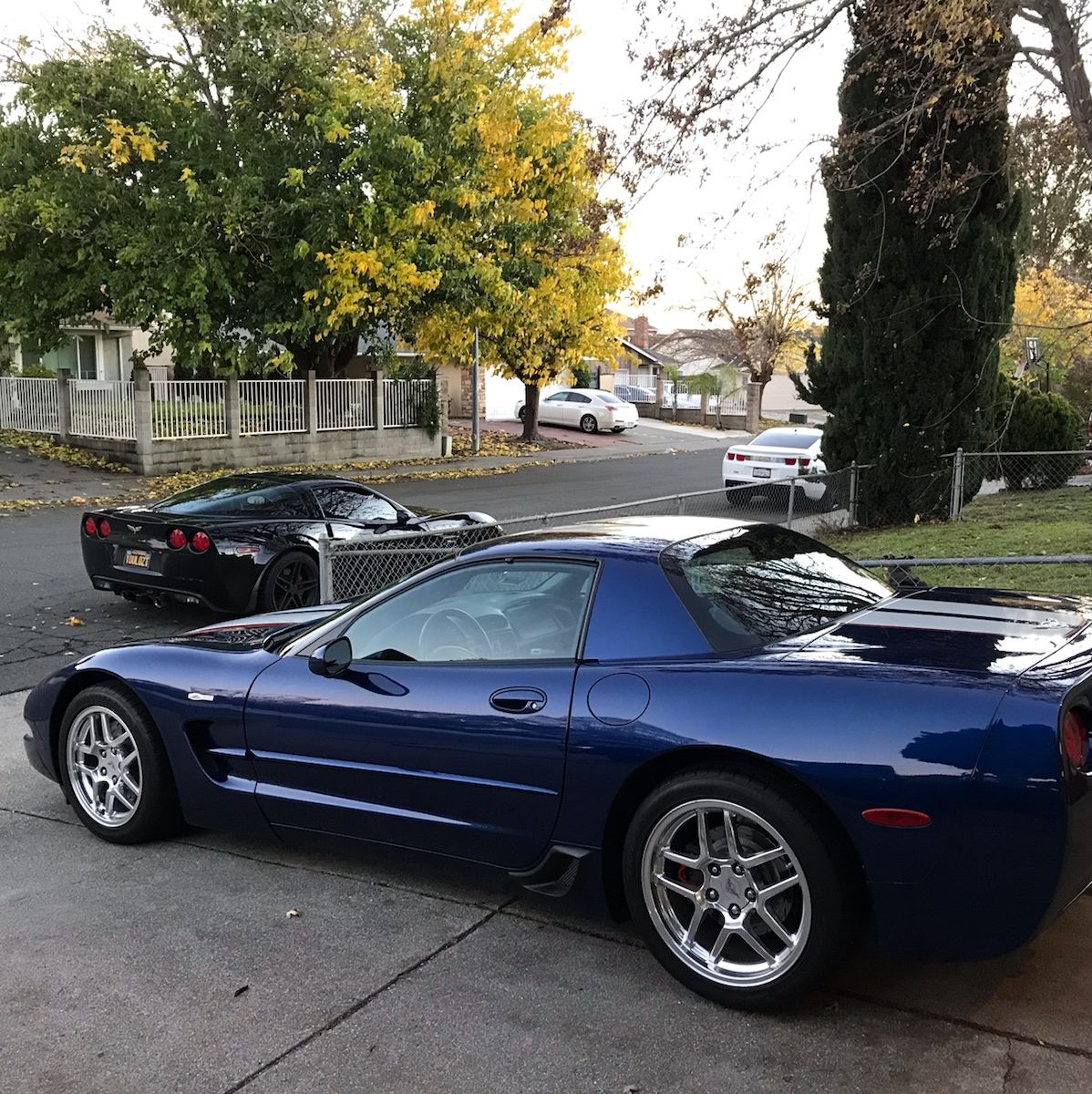 Profile of David Velazquez