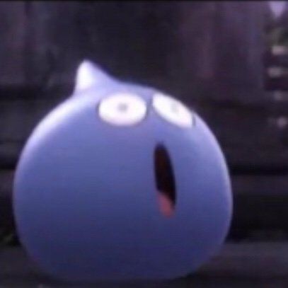 Profile of Matthew Tripp